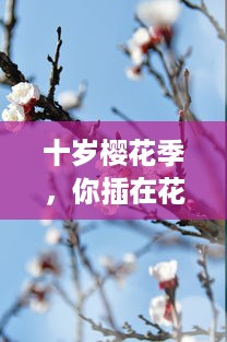 十岁樱花季，你插在花瓣上的那首深情歌曲是什么：一段青春记忆的音符流转