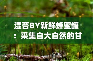 湿苔BY新鲜蜂蜜罐：采集自大自然的甘甜，融合绿色生态与健康美味的完美选择