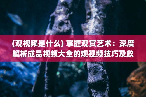 (观视频是什么) 掌握观赏艺术：深度解析成品视频大全的观视频技巧及欣赏之道