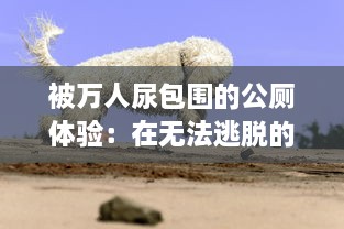 被万人尿包围的公厕体验：在无法逃脱的尿海中寻求生存的荒诞挑战 v2.5.2下载