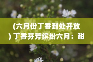 (六月份丁香到处开放) 丁香芬芳缤纷六月：甜蜜的生活、初夏的浪漫与满溢的盛夏香气