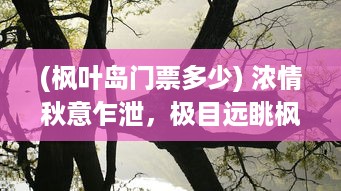 (枫叶岛门票多少) 浓情秋意乍泄，极目远眺枫叶岛：自然与艺术起舞的多彩画卷