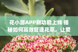 花小游APP新功能上线 揭秘如何高效管理花草，让爱花人士轻松养花。