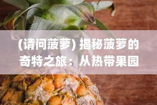 (请问菠萝) 揭秘菠萝的奇特之旅：从热带果园到全球餐桌的美味营养传递