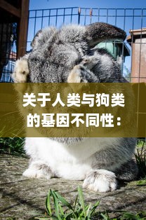 关于人类与狗类的基因不同性：科学揭示人狗难以杂交形成后代的生物学原理 v5.9.8下载