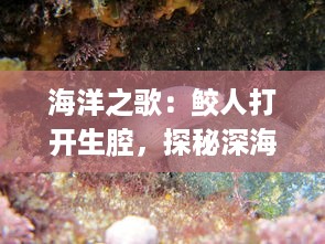 海洋之歌：鲛人打开生腔，探秘深海的未知乐章 v3.3.6下载