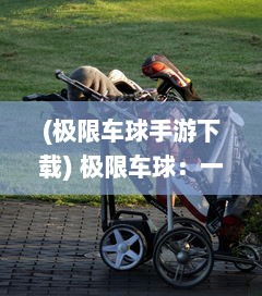 (极限车球手游下载) 极限车球：一场跨越重力与速度边界的疯狂碰撞巅峰对决