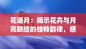 花语月：揭示花卉与月亮联结的独特韵律，感受自然诗意的浪漫主题