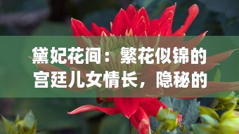 黛妃花间：繁花似锦的宫廷儿女情长，隐秘的宫斗权谋与细腻的爱恨交织 v9.0.0下载