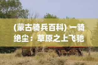 (蒙古骑兵百科) 一骑绝尘：草原之上飞驰疾驰的蒙古骑士的传奇故事