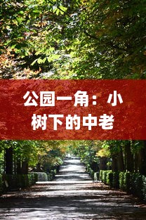 公园一角：小树下的中老年人交易画面，揭示城市生活中不为人知的一面图片集展示