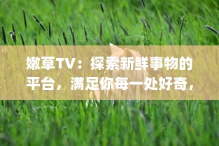 嫩草TV：探索新鲜事物的平台，满足你每一处好奇，爱上独特创意的绝佳地方 v1.7.2下载