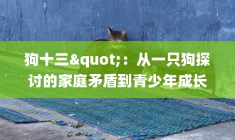 狗十三"：从一只狗探讨的家庭矛盾到青少年成长的社会现实，对中华传统文化的深度解读 v7.2.4下载