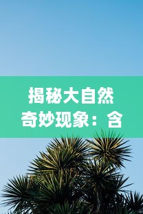 揭秘大自然奇妙现象：含羞草感应反应视频在线观看及科学原理解析