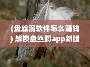 (盘丝洞软件怎么赚钱) 解锁盘丝洞app新版本：如何轻松发动态，分享精彩瞬间