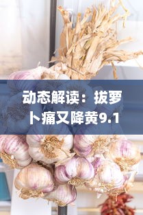 动态解读：拔萝卜痛又降黄9.1背后的经济逻辑和市场影响 v8.6.7下载