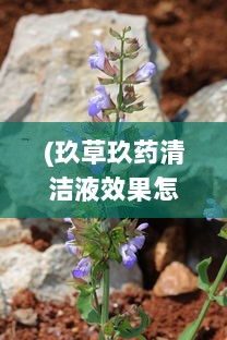 (玖草玖药清洁液效果怎么样) 展现自然之美：玖草视频带您探索未知的自然世界