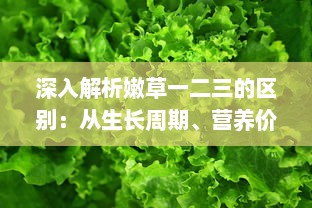 深入解析嫩草一二三的区别：从生长周期、营养价值到适用场景的全面比较 v3.5.3下载