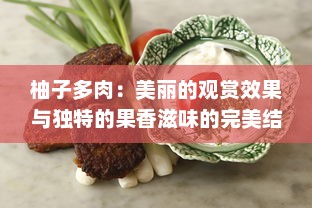 柚子多肉：美丽的观赏效果与独特的果香滋味的完美结合 v9.2.1下载