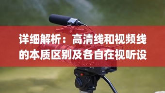 详细解析：高清线和视频线的本质区别及各自在视听设备中的应用性能对比 v6.8.7下载