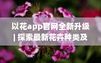 以花app官网全新升级| 探索最新花卉种类及养护秘籍| 一站式花卉购物体验 v7.1.0下载