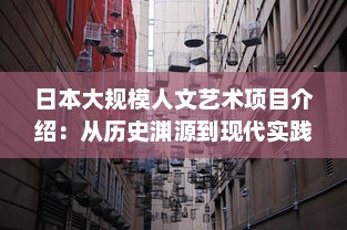 日本大规模人文艺术项目介绍：从历史渊源到现代实践，探索日本艺术文化的深度与广度 v2.4.3下载