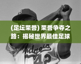 (足坛荣誉) 荣誉争夺之路：揭秘世界最佳足球俱乐部的历史、荣耀与挑战