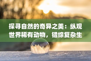 探寻自然的奇异之美：纵观世界稀有动物，错综复杂生存之路的挑战者，特殊型态的相似诡异物种 '歪眼猴