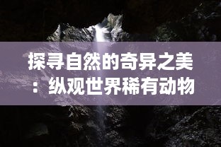 探寻自然的奇异之美：纵观世界稀有动物，错综复杂生存之路的挑战者，特殊型态的相似诡异物种 '歪眼猴