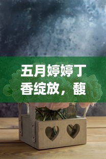 五月婷婷丁香绽放，馥郁芬芳染满城，似画似梦的紫色浪漫 v0.7.2下载