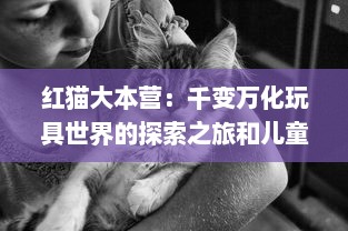 红猫大本营：千变万化玩具世界的探索之旅和儿童创意思维的培养基地