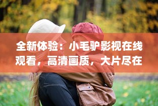 全新体验：小毛驴影视在线观看，高清画质，大片尽在掌握，享受随时随地影院级观影体验