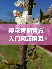 樱花官网官方入门网站网页版：全面教你如何从初学者到高手的详细步骤指南 v2.5.5下载