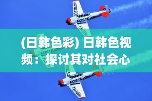 (日韩色彩) 日韩色视频：探讨其对社会心理影响及法律规制的紧迫性