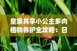 皇家共享小公主多肉植物养护全攻略：日常管理、浇水技巧和养殖环境详细介绍