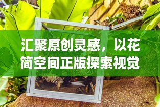 汇聚原创灵感，以花简空间正版探索视觉艺术之美，释放创意无限可能。 v3.2.6下载