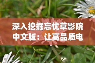 深入挖掘忘忧草影院中文版：让高品质电影文化与国人心灵深处的情感触动相融合