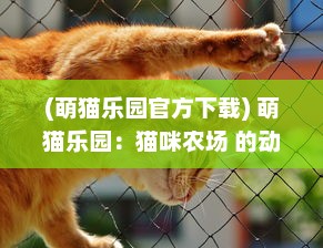 (萌猫乐园官方下载) 萌猫乐园：猫咪农场 的动物照顾与心灵疗愈之旅