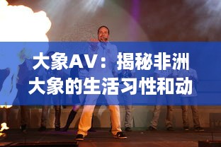 大象AV：揭秘非洲大象的生活习性和动态，展示野性世界的精彩画面