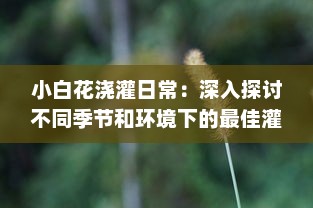 小白花浇灌日常：深入探讨不同季节和环境下的最佳灌溉方法和技巧 v7.2.6下载