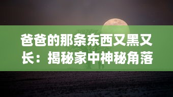 爸爸的那条东西又黑又长：揭秘家中神秘角落中的老式钓鱼竿传承故事