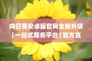 向日葵安卓版官网全新升级 | 一站式服务平台 | 官方直达下载，安全放心