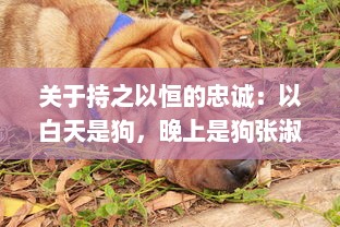 关于持之以恒的忠诚：以白天是狗，晚上是狗张淑敏为例探讨家庭犬的情感忠诚与陪伴 v4.5.8下载