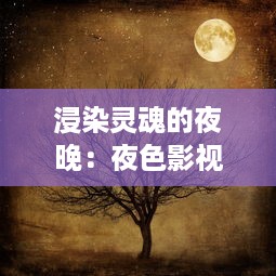 浸染灵魂的夜晚：夜色影视，为你解读生活中那抹神秘的深蓝色调