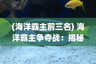 (海洋霸主前三名) 海洋霸主争夺战：揭秘全球海战风云中的无畏勇士与战略决断