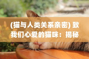 (猫与人类关系亲密) 致我们心爱的猫咪：揭秘人与猫之间甜蜜亲吻的深层意义与影响