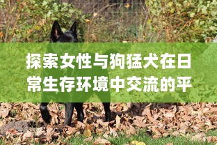 探索女性与狗猛犬在日常生存环境中交流的平衡：以实验为基础的69种独特交互视角解析