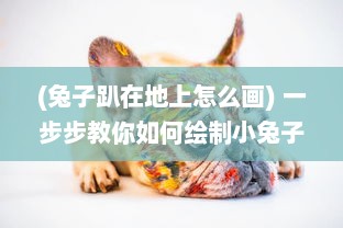 (兔子趴在地上怎么画) 一步步教你如何绘制小兔子趴在陆沉腿上的温馨场景插图