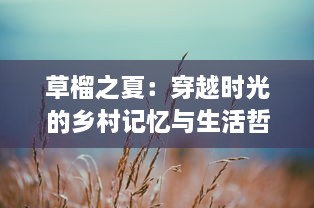 草榴之夏：穿越时光的乡村记忆与生活哲学的深度挖掘 v8.8.2下载