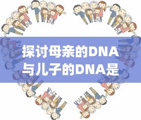 探讨母亲的DNA与儿子的DNA是否完全相同：遗传学与家庭关系的精细解读